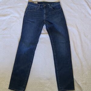 GAP Blue Straight Jeans Classic Style